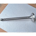 Engine Valves 4115TA